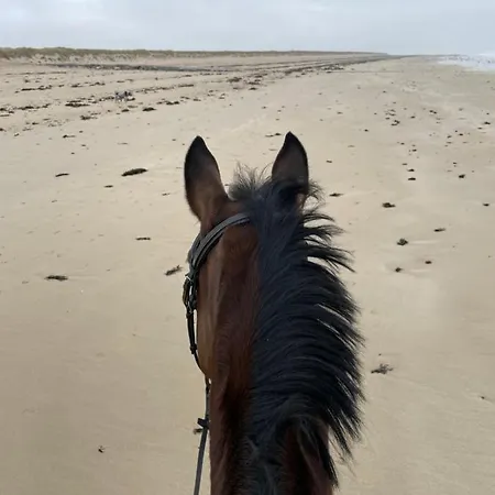 Est De La Pointe D'agon 4 Convives Dom wakacyjny