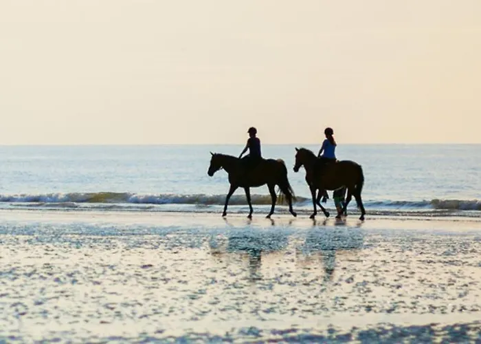 Hébergement de vacances Est De La Pointe D'agon 4 Convives *