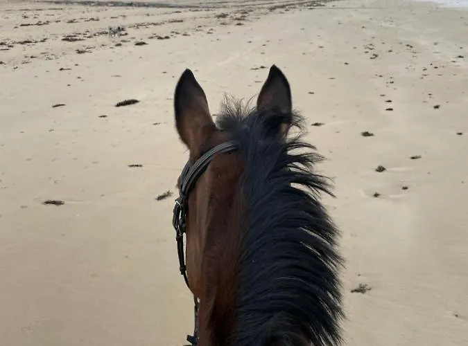 Est De La Pointe D'agon 4 Convives Дом отдыха